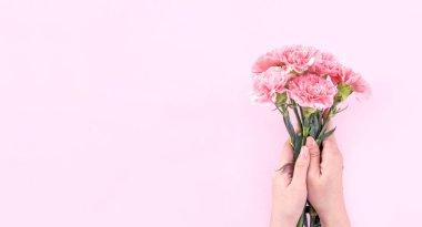 Parlak pembe arka plan üzerinde izole bebek pembe renk ihale karanfil çiçeklenme demet veren kadın, anneler günü dekor tasarım kavramı, üst görünüm, yakın çekim, kopya alanı