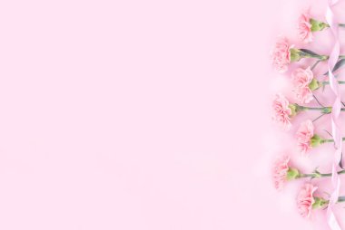 Güzel şıklık çiçek açan bebek pembe renk ihale karanfil sıra parlak pembe arka plan üzerinde izole, anneler günü tebrik tasarım kavramı, üst görünüm, düz yatıyordu, kapatmak, kopya alanı