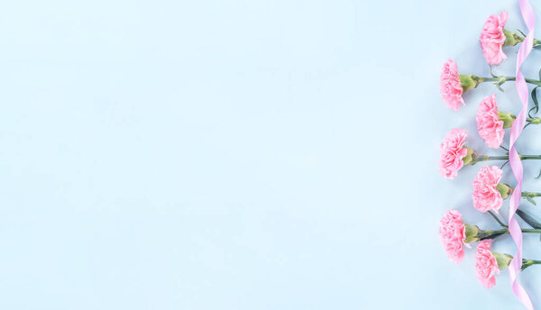 Красивые цветущие розовые гвоздики изолированы на ярком светло-голубом фоне, копировать пространство, плоский лежал, вид сверху, макет, пусть матери день идея концептуальной фотографии