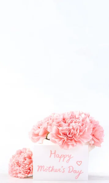 Schöne Blühende Baby Rosa Zarte Nelken Einer Weißen Vase Isoliert — Stockfoto