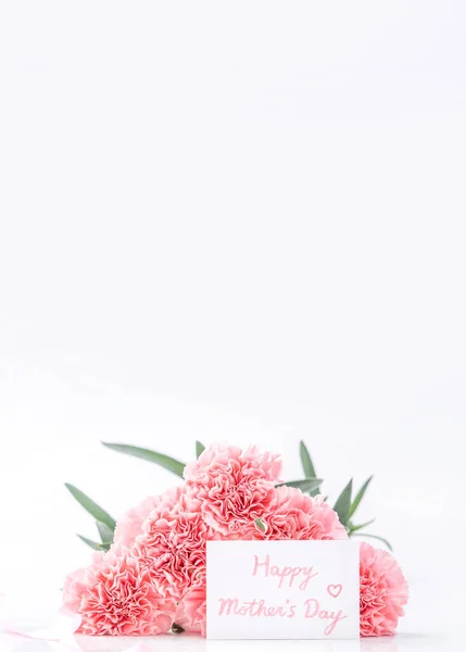 Top View Elegance Blooming Sweet Pink Color Tender Carnations Isolated — Stock Photo, Image