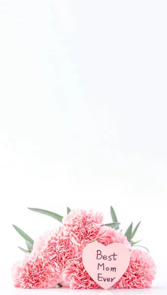 カードで明るい白の背景に隔離された甘いピンク色の柔らかいカーネーションを咲かせる優雅さのトップビュー 母の日のお母さんの挨拶のデザインコンセプト 閉じる コピースペース — ストック写真