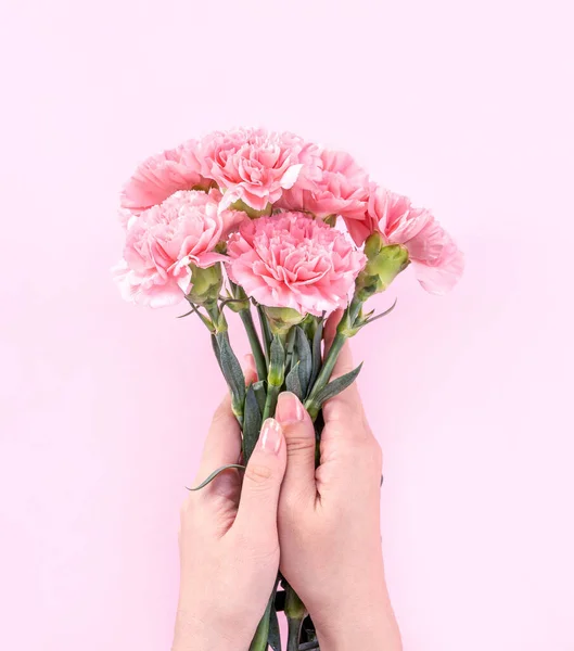 Mujer Dando Ramo Elegancia Floreciente Bebé Color Rosa Tiernos Claveles — Foto de Stock