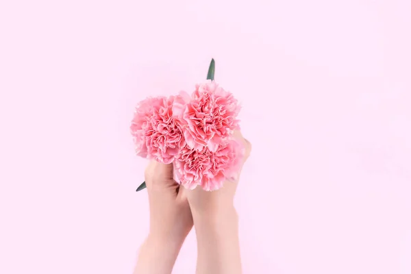 Mujer Dando Ramo Elegancia Floreciente Bebé Color Rosa Tiernos Claveles — Foto de Stock