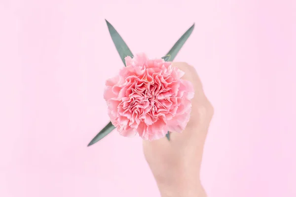 Mujer Dando Una Sola Elegancia Floreciente Bebé Color Rosa Tierno — Foto de Stock