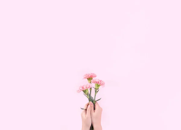 Mujer Dando Ramo Elegancia Floreciente Bebé Color Rosa Tiernos Claveles — Foto de Stock