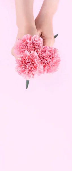 Žena Která Dává Skupině Elegance Kvetoucí Dětské Růžové Barvy Izolované — Stock fotografie