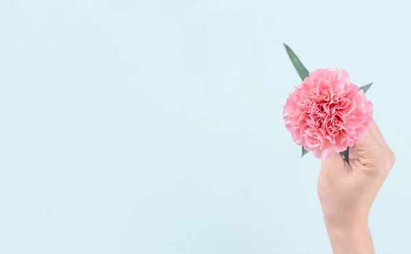 Mujer Dando Ramo Elegancia Floreciente Bebé Color Rosa Tiernos Claveles — Foto de Stock