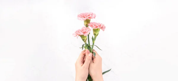 Mujer Dando Ramo Elegancia Floreciente Bebé Color Rosa Tiernos Claveles — Foto de Stock