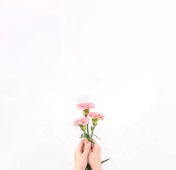 Mujer Dando Ramo Elegancia Floreciente Bebé Color Rosa Tiernos Claveles — Foto de Stock