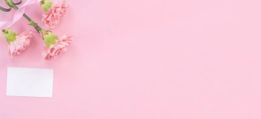 Parlak pembe arka plan üzerinde izole güzel taze çiçeklenme bebek pembe renk ihale karanfil, anneler günü sayesinde tasarım kavramı, üst görünüm, düz yatıyordu, kopya alanı, kapatmak, alay