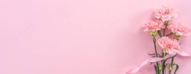 Parlak pembe arka plan üzerinde izole güzel taze çiçeklenme bebek pembe renk ihale karanfil, anneler günü sayesinde tasarım kavramı, üst görünüm, düz yatıyordu, kopya alanı, kapatmak, alay