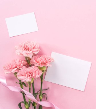 Parlak pembe arka plan üzerinde izole güzel taze çiçeklenme bebek pembe renk ihale karanfil, anneler günü sayesinde tasarım kavramı, üst görünüm, düz yatıyordu, kopya alanı, kapatmak, alay