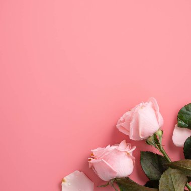 Anneler Günü tasarım arka planında pembe gül çiçekli arka plan