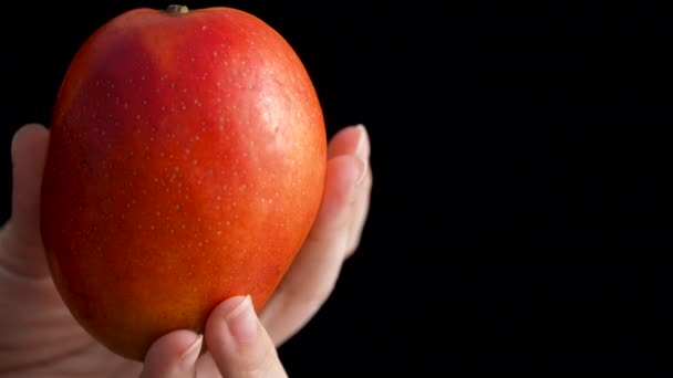 Femeia Ține Arată Fructe Frumoase Mango Proaspete — Videoclip de stoc