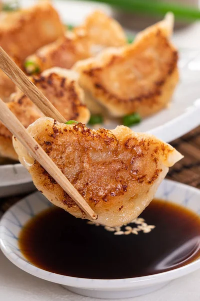 Taiwanese Japanese Pan Fried Gyoza Dumpling Jiaozi Food Plate Soy — Foto de Stock