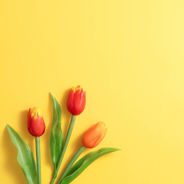 Mother's day background concept. Top view design of holiday greeting tulip flower bouquet on bright yellow table with copy space.
