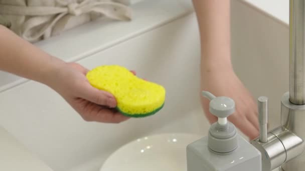 가정주부를 가까이 함으로써 부엌에서 스폰지 설거지를 함으로써 설거지를 — 비디오