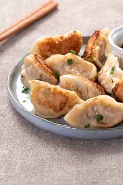 Tayvan ve Japon usulü kızarmış gyoza, gri masa arkasında soya sosu olan bir tabakta jiaozi yemeği yiyorlar..