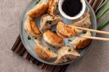 Tayvan ve Japon usulü kızarmış gyoza, gri masa arkasında soya sosu olan bir tabakta jiaozi yemeği yiyorlar..