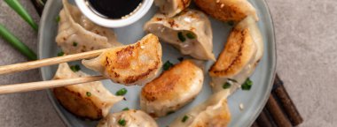 Tayvan ve Japon usulü kızarmış gyoza, gri masa arkasında soya sosu olan bir tabakta jiaozi yemeği yiyorlar..