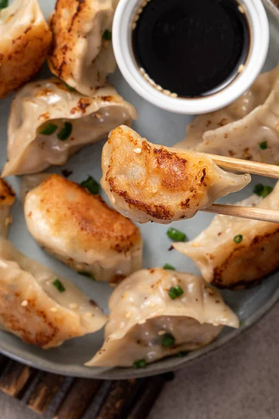Tayvan ve Japon usulü kızarmış gyoza, gri masa arkasında soya sosu olan bir tabakta jiaozi yemeği yiyorlar..