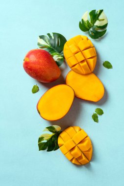 Mango arka plan tasarımı konsepti. Mavi masa üzerinde yaprakları olan taze mango desenlerinin üst görüntüsü.