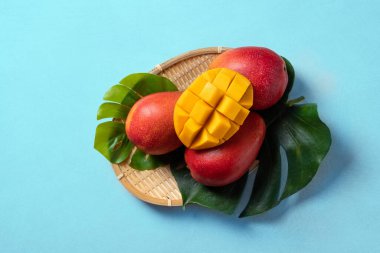 Mango arka plan tasarımı konsepti. Mavi masa üzerinde yaprakları olan taze mango desenlerinin üst görüntüsü.