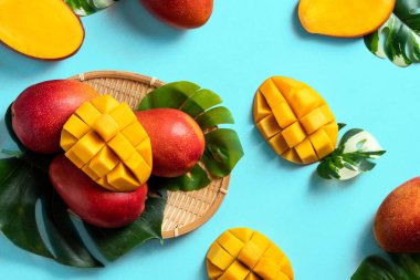 Mango arka plan tasarımı konsepti. Mavi masa üzerinde yaprakları olan taze mango desenlerinin üst görüntüsü.