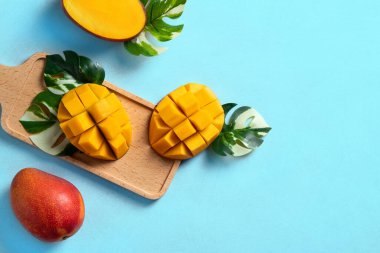 Mango arka plan tasarımı konsepti. Mavi masa üzerinde yaprakları olan taze mango desenlerinin üst görüntüsü.