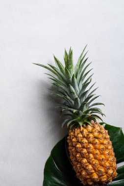 Koyu mavi arka planda tropikal yapraklı taze kesilmiş ananas manzarası.
