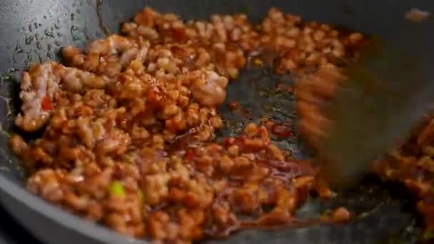 Homemade Stir Frying Ground Pork Hot Spicy Sauce Cooking Mapo — Wideo stockowe