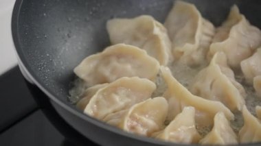 Pan-frying gyoza dumpling jiaozi at home in kitchen, lifestyle.