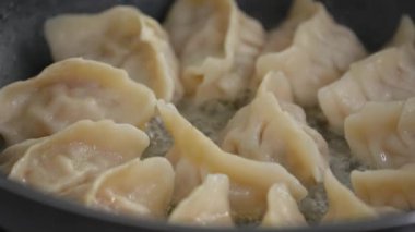 Pan-frying gyoza dumpling jiaozi at home in kitchen, lifestyle.