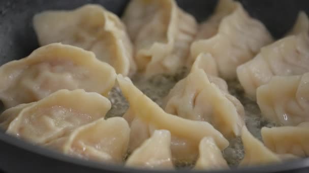 Pan Frying Gyoza Dumpling Jiaozi Home Kitchen Lifestyle — Stockvideo