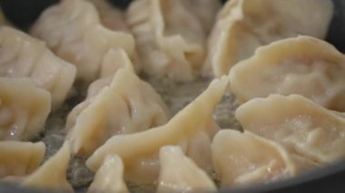 Pan-frying gyoza dumpling jiaozi at home in kitchen, lifestyle.