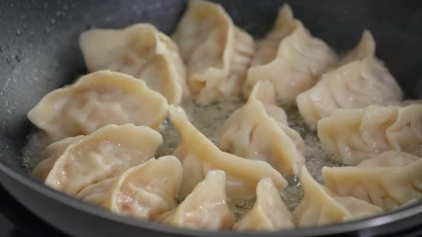 Pan Frying Gyoza Dumpling Jiaozi Home Kitchen Lifestyle — Wideo stockowe