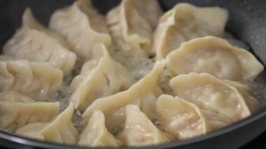 Pan-frying gyoza dumpling jiaozi at home in kitchen, lifestyle.