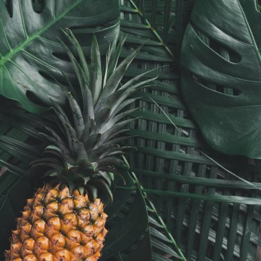 Tropikal canavar yaprakları ve plam yaprakları üzerinde taze ananas manzarası.