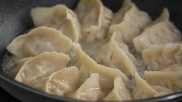 Pan Τηγάνισμα Gyoza Ζυμαρικά Jiaozi Στο Σπίτι Στην Κουζίνα Τον — Αρχείο Βίντεο