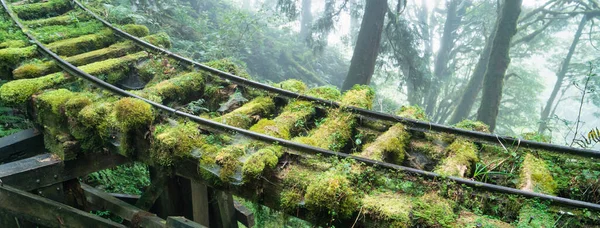 Prachtige Jianqing Jiancing Historische Route Bosspoorweg Van Taiwan Taipingshan National — Stockfoto