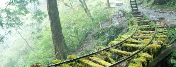 Hermoso Sendero Histórico Jianqing Jiancing Ferrocarril Forestal Taiwán Taipingshan National — Foto de Stock