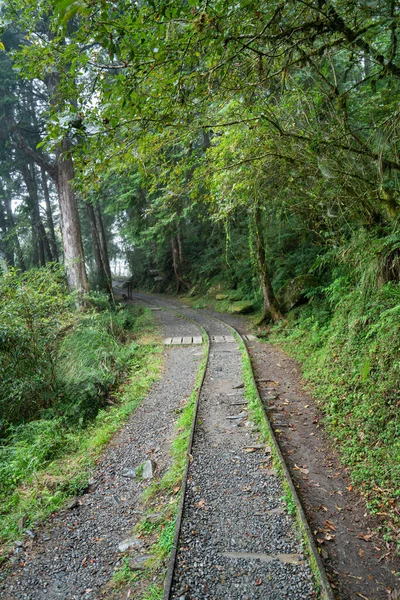 Schöner Historischer Pfad Jianqing Jiancing Die Waldbahn Des Taipingshan National — Stockfoto