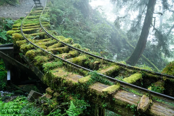 Schöner Historischer Pfad Jianqing Jiancing Die Waldbahn Des Taipingshan National — Stockfoto