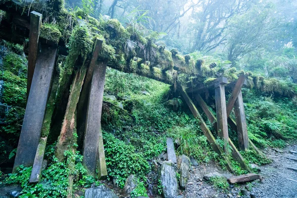 Schöner Historischer Pfad Jianqing Jiancing Die Waldbahn Des Taipingshan National — Stockfoto