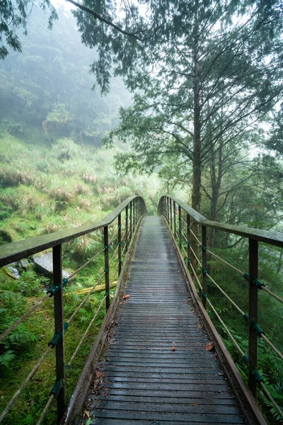 Schöner Historischer Pfad Jianqing Jiancing Die Waldbahn Des Taipingshan National — Stockfoto