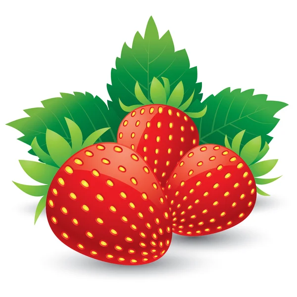 Φράουλες με φύλλα. Απομονωμένα σε λευκό φόντο — Διανυσματικό Αρχείο