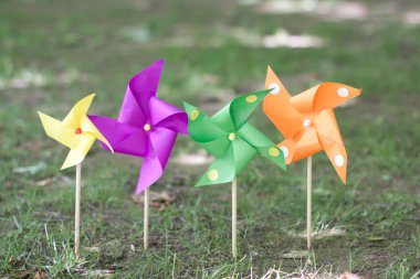 renkli pinwheels