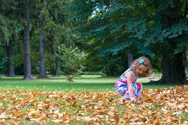 Roztomilá holčička v lese na podzim — Stock fotografie