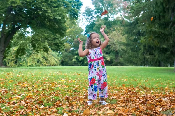 Мила дівчинка в лісі восени — стокове фото